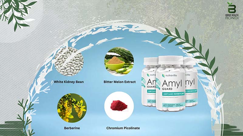 Ingredients of Amyl Guard