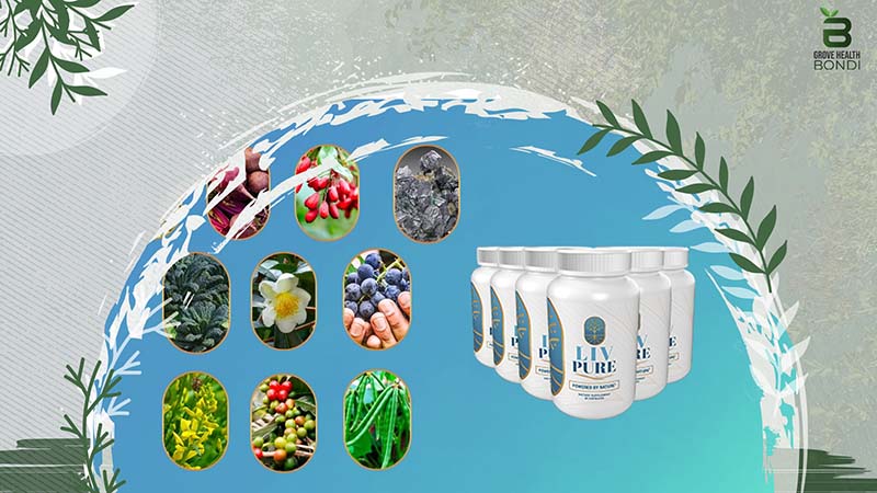 Ingredients of Liv Pure