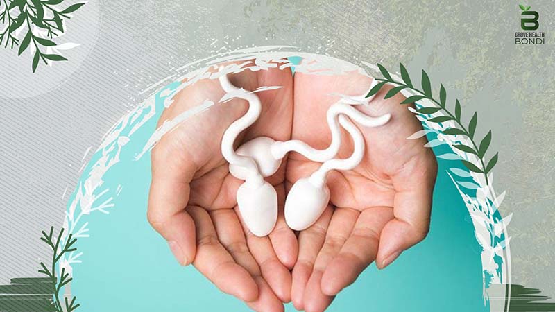 Factors to Low Sperm Count 