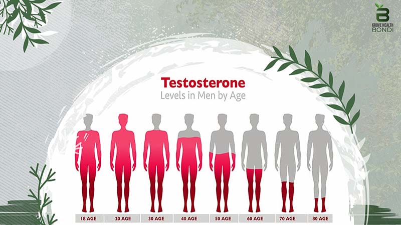 Age-related decline in testosterone in men