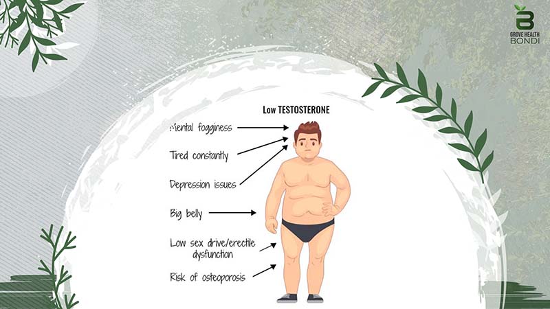 Causes Of Low Testosterone Levels